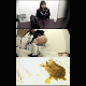 4 Japanese girls have some bad luck and get the urge to shit in the most inconvenient locations. They shit into trash cans and plastic bags, then try to discretely dispose of their waste. Presented in 720P HD. 722MB, MP4 file. About 59 minutes.
